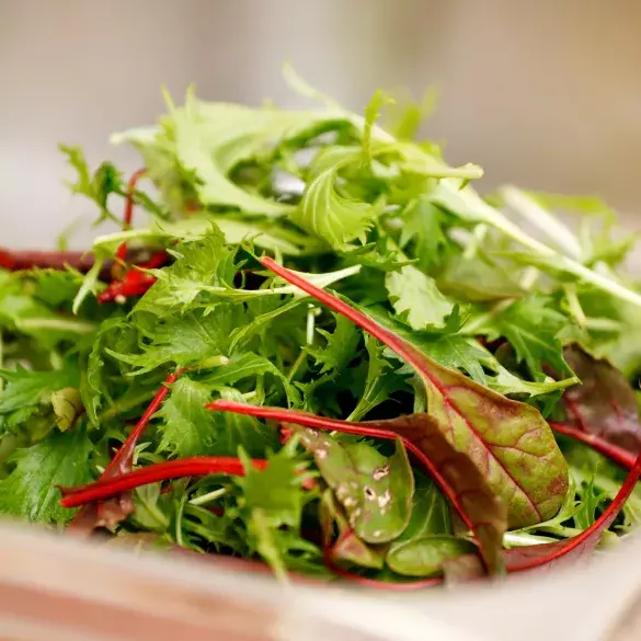 Салат простой