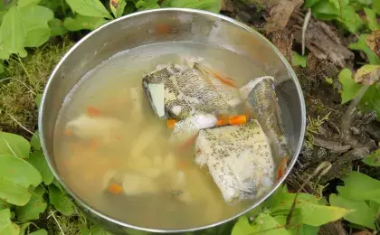 Треска отварная с морковью, луком и лимоном