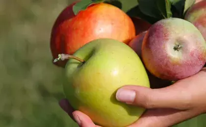 Обед между делом