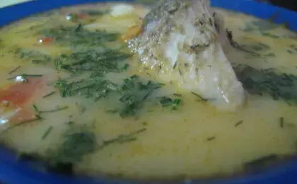 Уха из речной рыбы