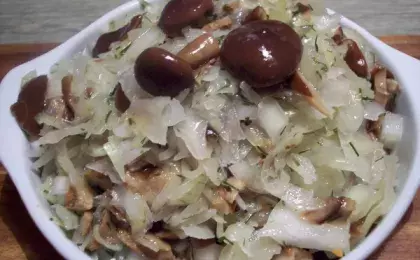 Грибы с квашеной капустой