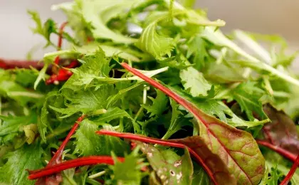 Салат простой